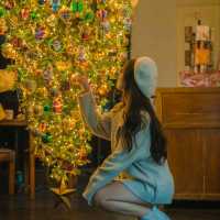 🎄이색적인 거꾸로 트리가 예쁜 연말에가기좋은 카페 [제주, 마마롱]