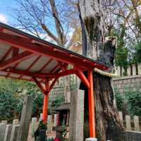 【大阪 】大阪で女性の神様の神社巡り〜