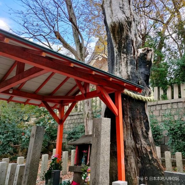 【大阪 】大阪で女性の神様の神社巡り〜