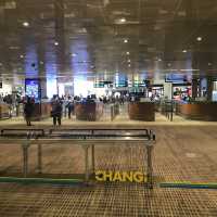 Singapore Changi International Airport