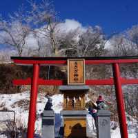 河口湖天上山公園❄️❄️