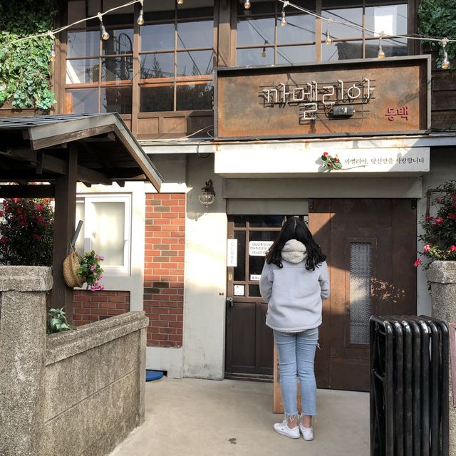 까멜리아가 반겨주는, 구룡포 일본인 가옥거리