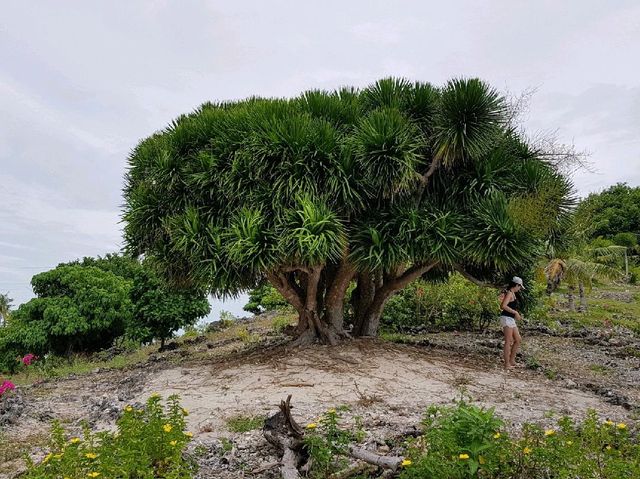 Malapascua Island