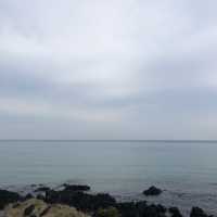 [제주도 여행] 함덕해수욕장에서 겨울바다 보기🌊
