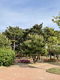산책하기 좋은 수원 공원