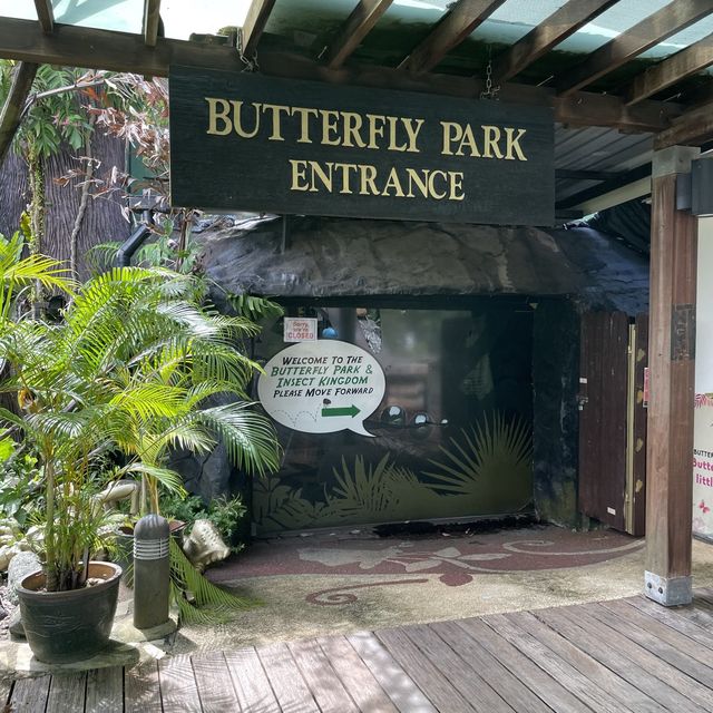 Butterflies in Sentosa 