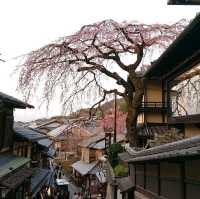 京都 二年坂(二寧坂) 三年坂(産寧坂)