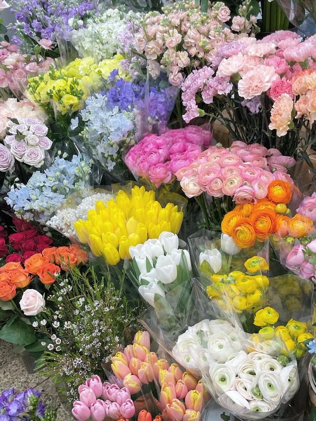 벚꽃 엔딩이 아쉽다면, 이곳도 충분해💗