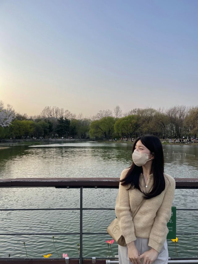 서울 벚꽃 명소인 서울숲🌸