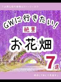 絶景！GWが見頃のお花畑スポット7選