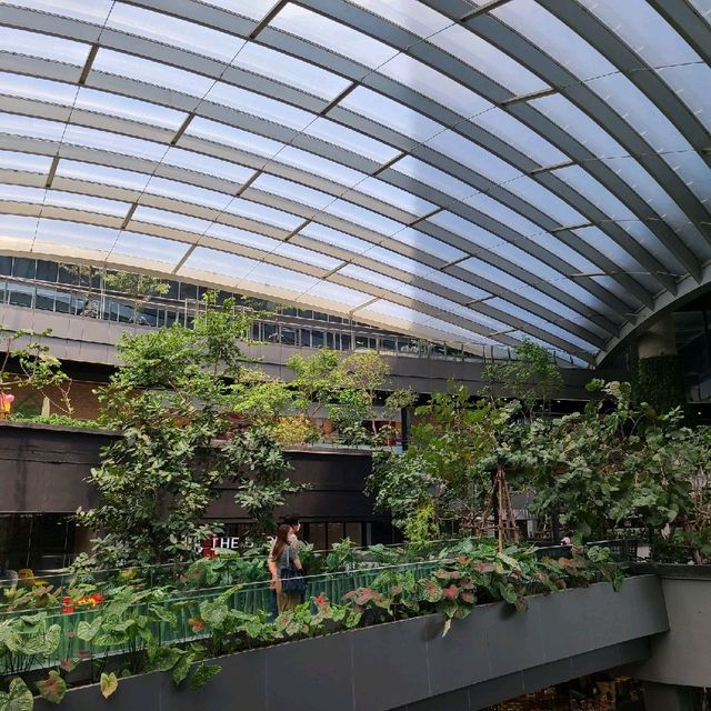 Mall and Park Concept 