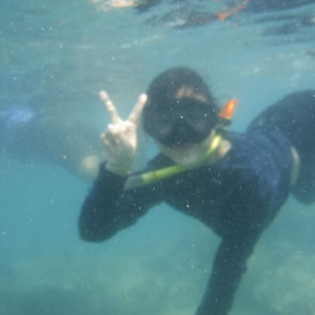 pari island❤️