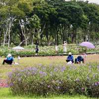 Pinic at Chatuchak park 