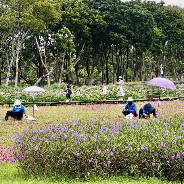Pinic at Chatuchak park 