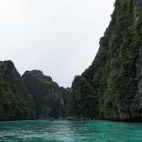 มรดกแห่งท้องทะเล ความงามของธรรมชาติ