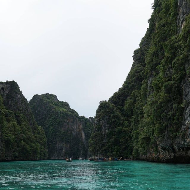 มรดกแห่งท้องทะเล ความงามของธรรมชาติ มรดกแห่งท้องทะเล ความงามของธรรมชาติ