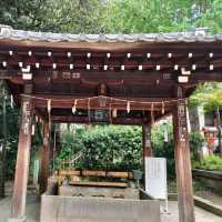 【京都 祇園】八坂神社さんの縁結び🌸⛩️