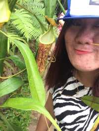 A visit to a Nature's Park