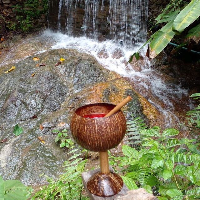 แช่อ่างน้ำ..สัมผัสธรรมชาติ.ที่สวนบังแม็กซ์