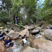 Day Trip - Back to Nature Cafe
