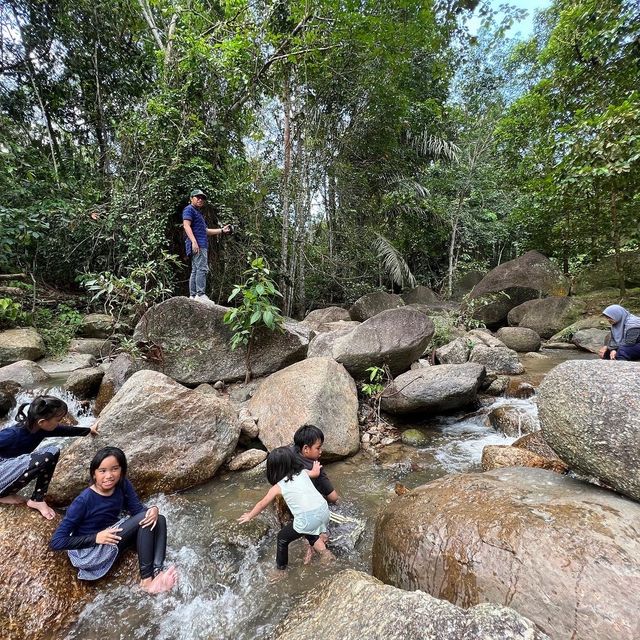 Day Trip - Back to Nature Cafe
