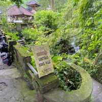 Explore out the Campuhan Ridge Walk