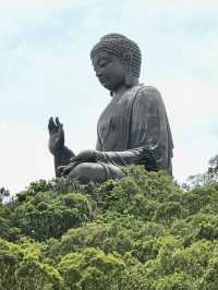องค์พระใหญ่ The Big Buddha