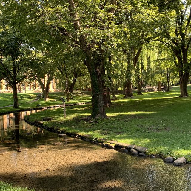 秋空オススメお散歩コース🚶北海道大学