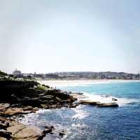 Bondi To Bronte Coastal Walk