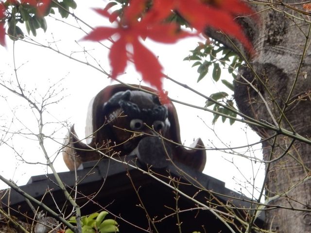 【福岡】動植物園近くの日本庭園