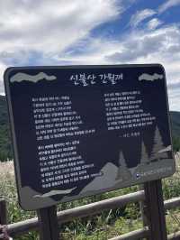 한국에 이런 곳이?!