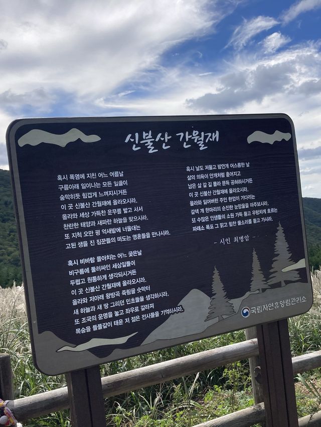 한국에 이런 곳이?!
