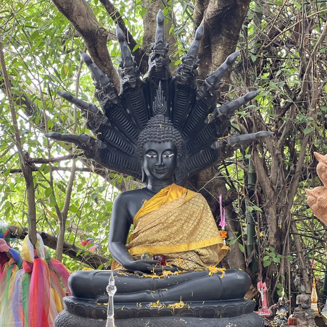 เกาะดอนโพธิ์ ดินเเดนเเห่งศรัทธา