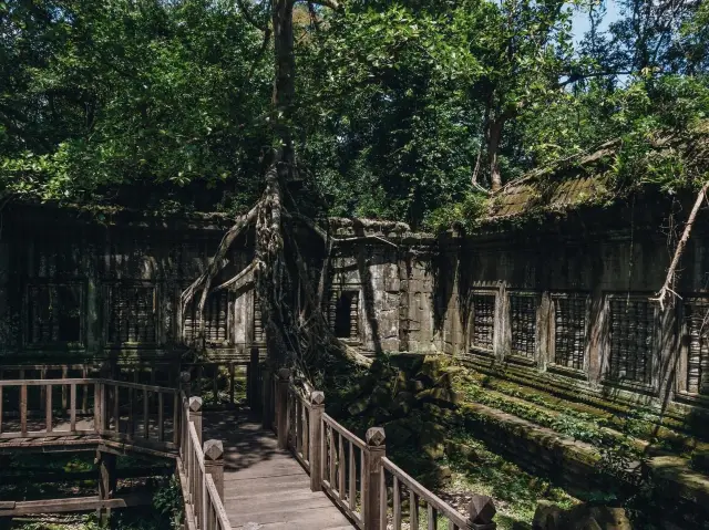 Beng Mealea, Siem Reap