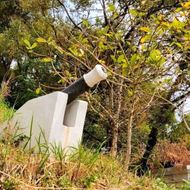 秋天遊🍂大澳文物酒店