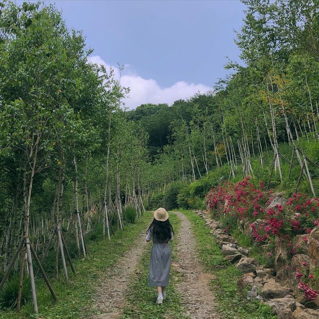 부모님 모시고 가기 좋은 여행 장소 “곤지암 화담숲”