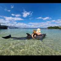 Dolphfun date