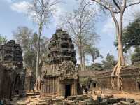 Angkor Wat Tour