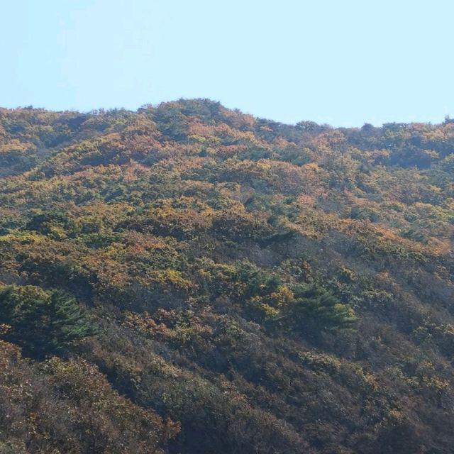 인천의 가을 단풍 유명 스팟 인천대공원을 가보자