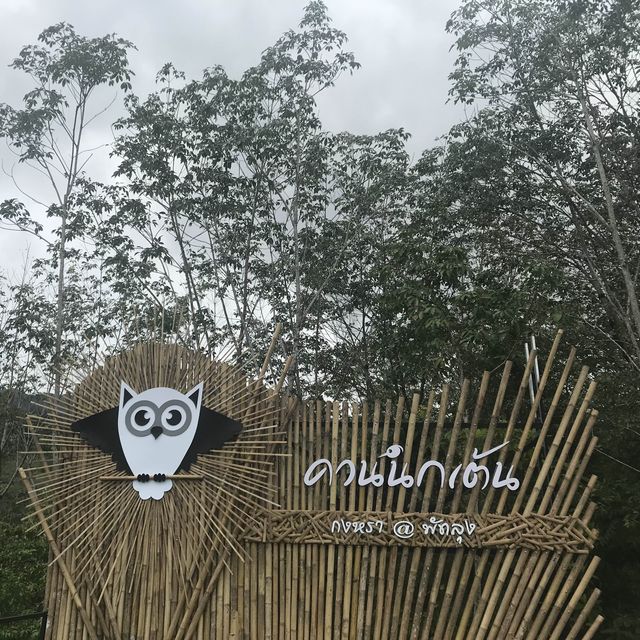 จุดชมวิวควนนกเต้น @พัทลุง  ⛰⛺️
