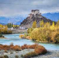 Autumn in Ladakh 🌿🍁
ฤดูใบไม้เปลี่ยนสีที่เลห์ 🇮