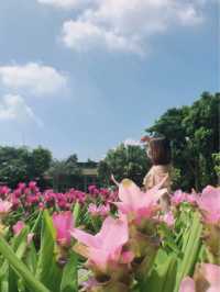 卓蘭山林間的花卉園區 花露農場 Flower Home