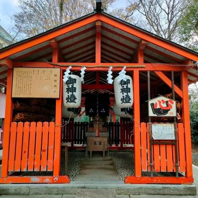 【大阪 】大阪で女性の神様の神社巡り〜