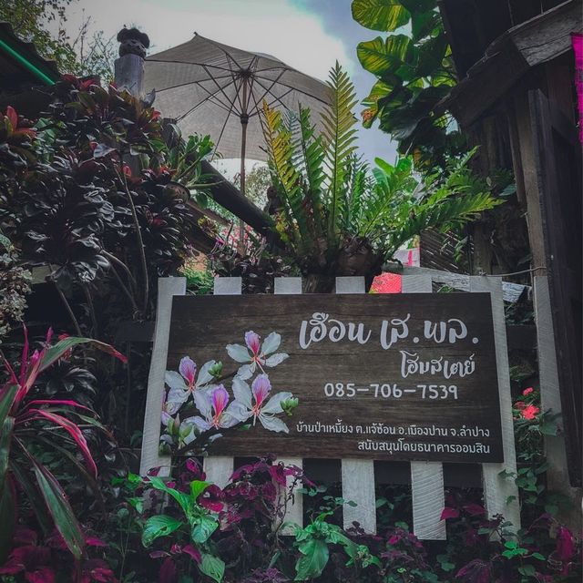 กาแฟร่มไม้ใบเหมี้ยง  ร้านกาแฟเล็กๆ ในป่าเหมี้ยง