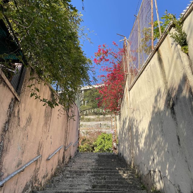 你的名字之旅