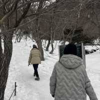 한라산에 눈이 얼마나 쌓였는지 궁금하시죠?☃️🙂