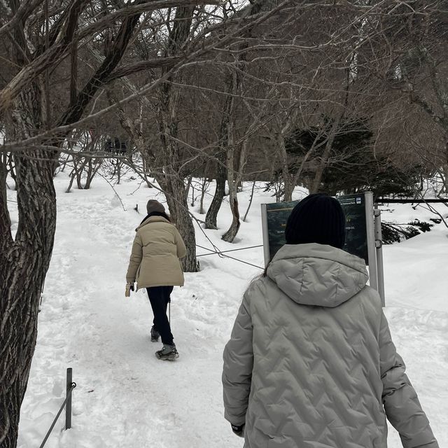 한라산에 눈이 얼마나 쌓였는지 궁금하시죠?☃️🙂