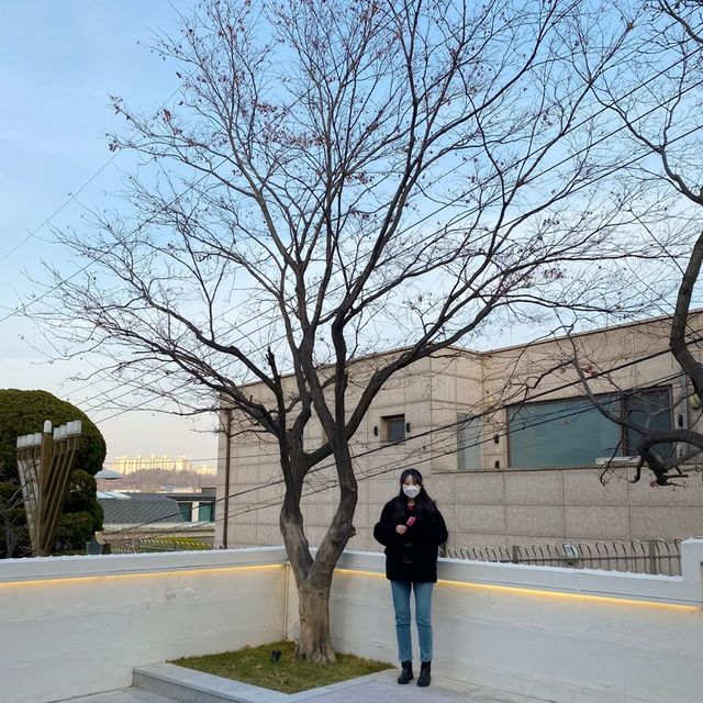 [수영장이 있는 한남동 카페 콘하스]