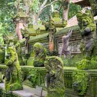 MONKEY FOREST AT