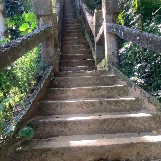一个梦想成真的地方